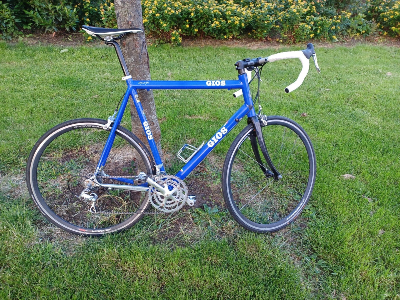 Gios A-90 Racefiets - Aluminium, Campagnolo Centaur, 28 inch, Gebruikt, Aluminium, 61 tot 65 cm