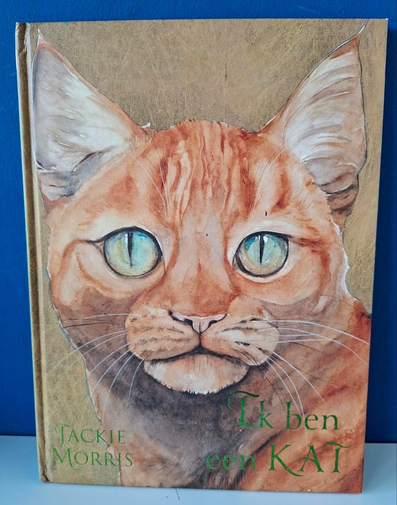 Ik ben een kat/ Jackie Morris, Boeken, Kinderboeken | Jeugd | onder 10 jaar, Ophalen of Verzenden, Zo goed als nieuw, Fictie algemeen
