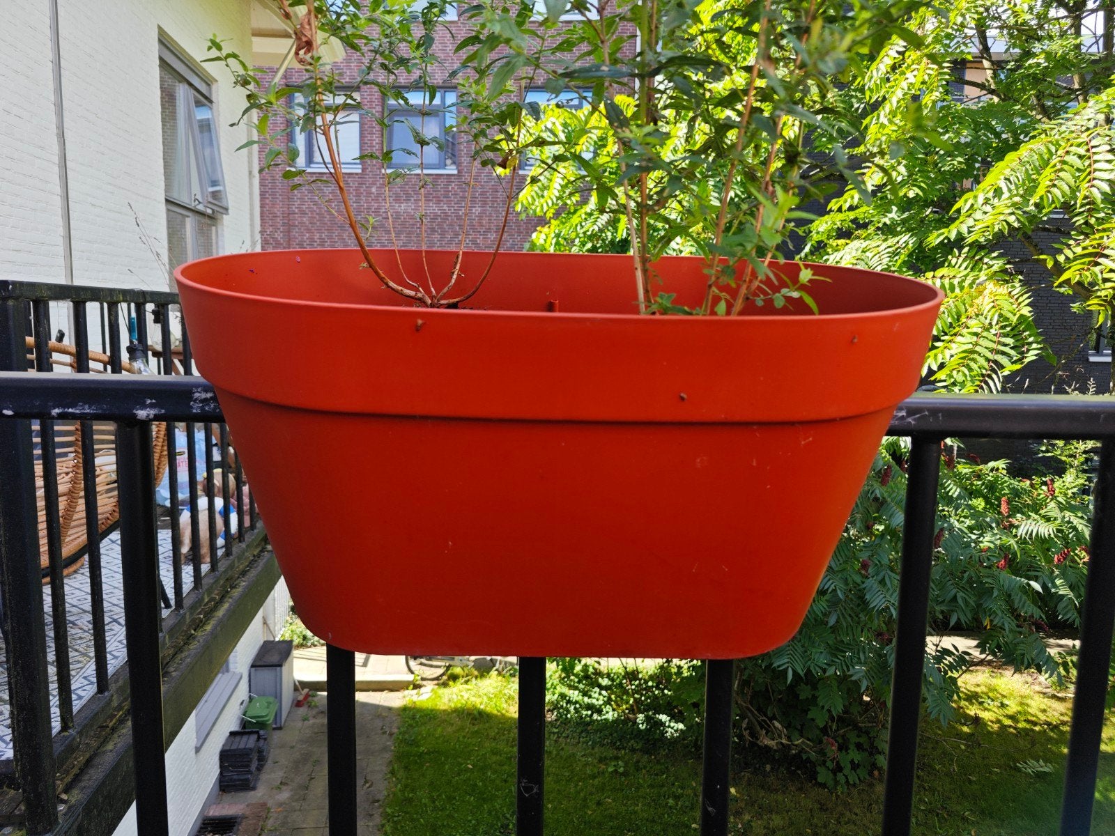 Elho Corsica XL balkonbak / balkon bloempot, Tuin en Terras, Ophalen, Kunststof, Gebruikt, Minder dan 30 cm
