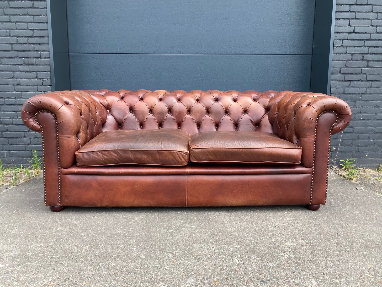 Stoere Chesterfield bank siageren cognac, Ophalen, Zo goed als nieuw, 200 tot 250 cm, Leer