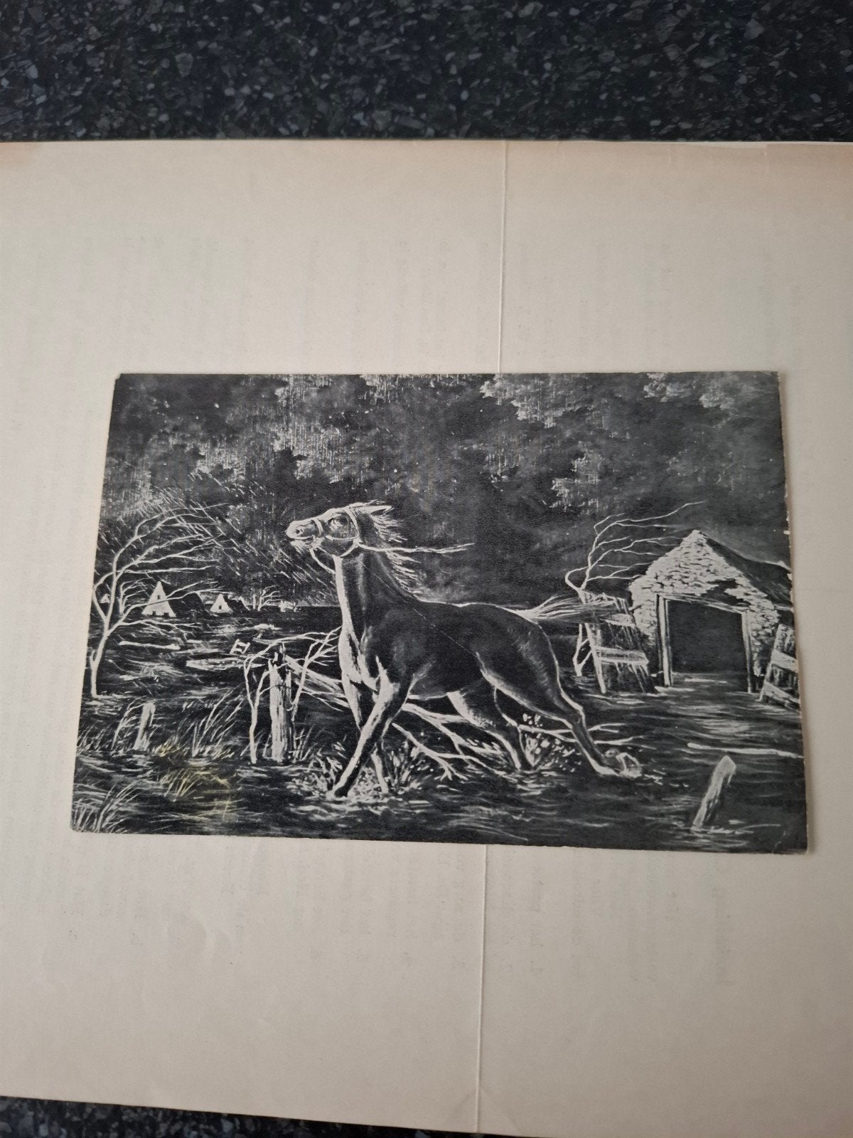Watersnoodramp 1953, Verzamelen, Ansichtkaarten | Themakaarten, Gelopen, 1940 tot 1960, Ophalen of Verzenden