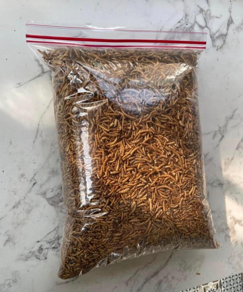 Gedroogde meelwormen voor tuinvogels / kippen per Kilo, Dieren en Toebehoren, Dierenvoeding, Ophalen of Verzenden, Pluimvee