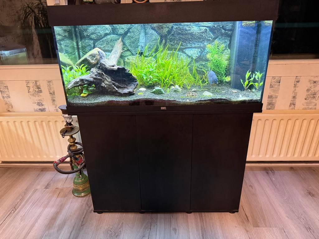 aquarium juwel 180L”met kast en een piranha erbij, Vis