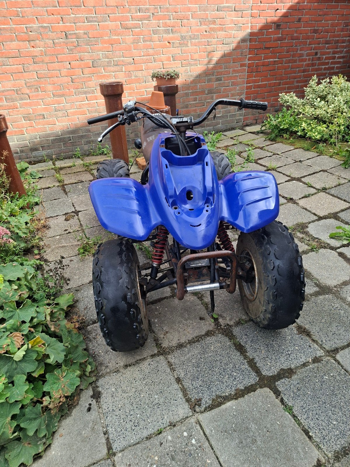 Quad project / onderdelen - Blauw, Ophalen