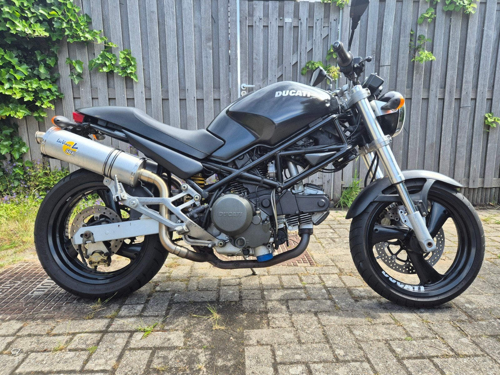 Ducati M600 Dark (1999) – ideale startersmotor
