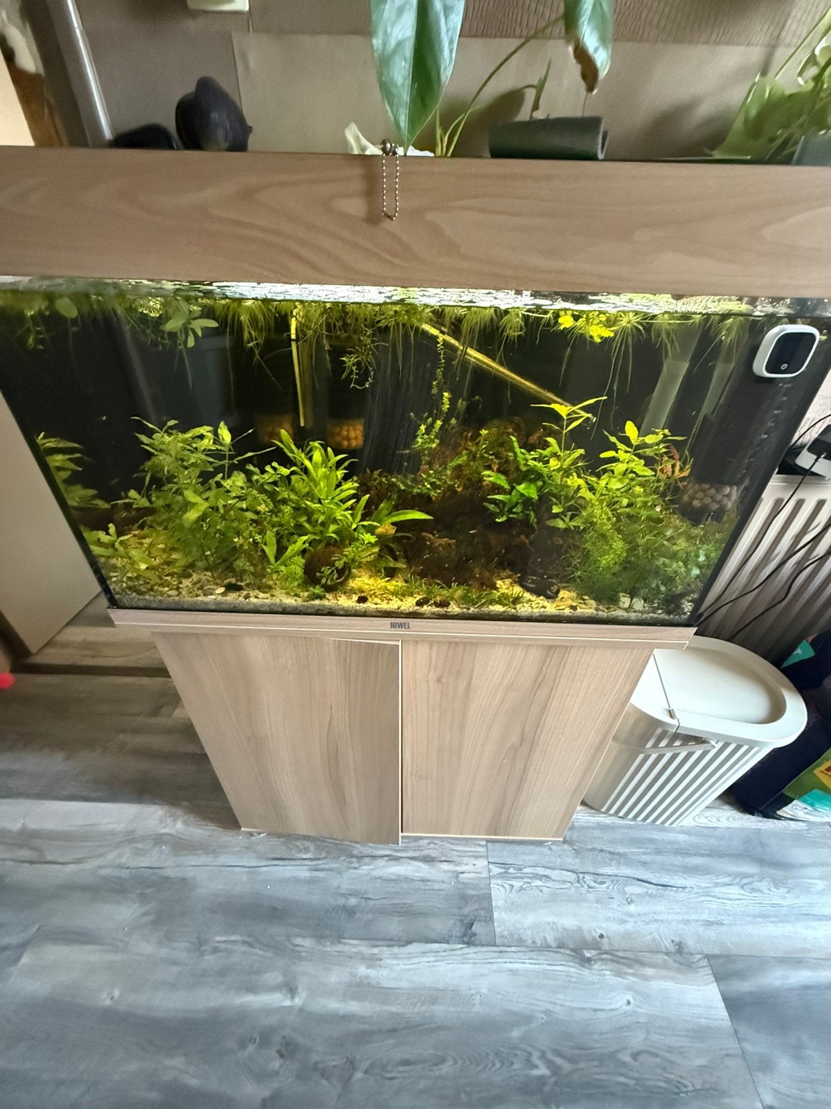 Juwel Rio125L aquarium, Ophalen, Gebruikt, Juwel, Leeg aquarium