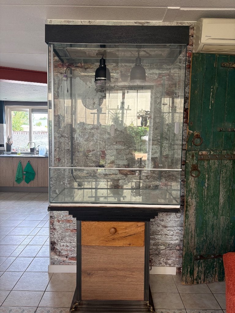Terrarium 120x100x 50, Ophalen, Gebruikt, Terrarium of Paludarium
