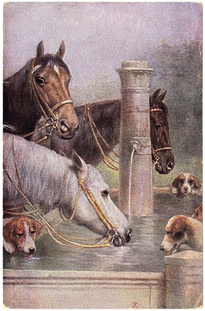 Kaart '21 Paard Foxhound Jachthond Hond Illustrator Reichert, Ophalen of Verzenden, 1920 tot 1940, Gelopen, Overige thema's
