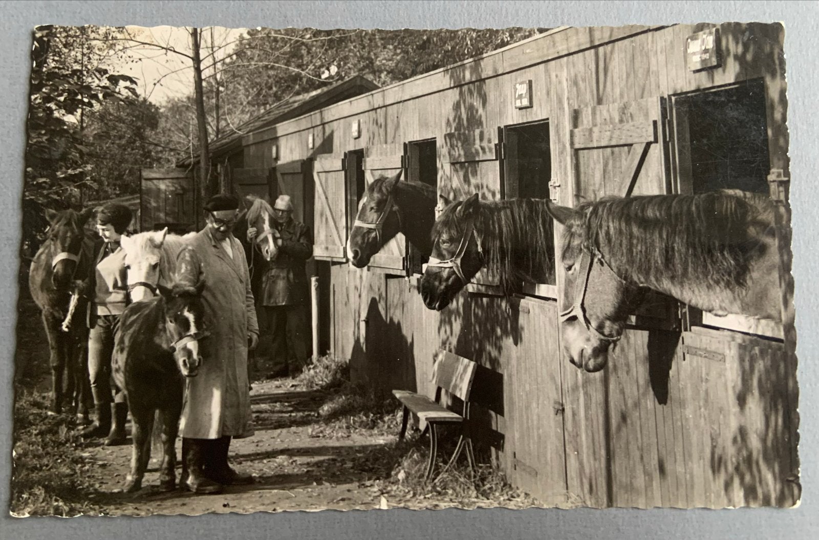 Rusthuis voor Paarden De Paardenkamp Soest, Verzenden, 1940 tot 1960, Gelopen, Overijssel