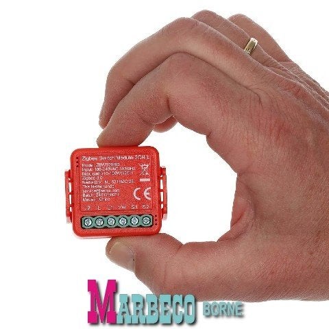 SmartLife Schakelaar, Zigbee 3.0, Kroonsteen, 2x100 W, Nedis SmartLife, SmartLife, Overige typen, Nieuw