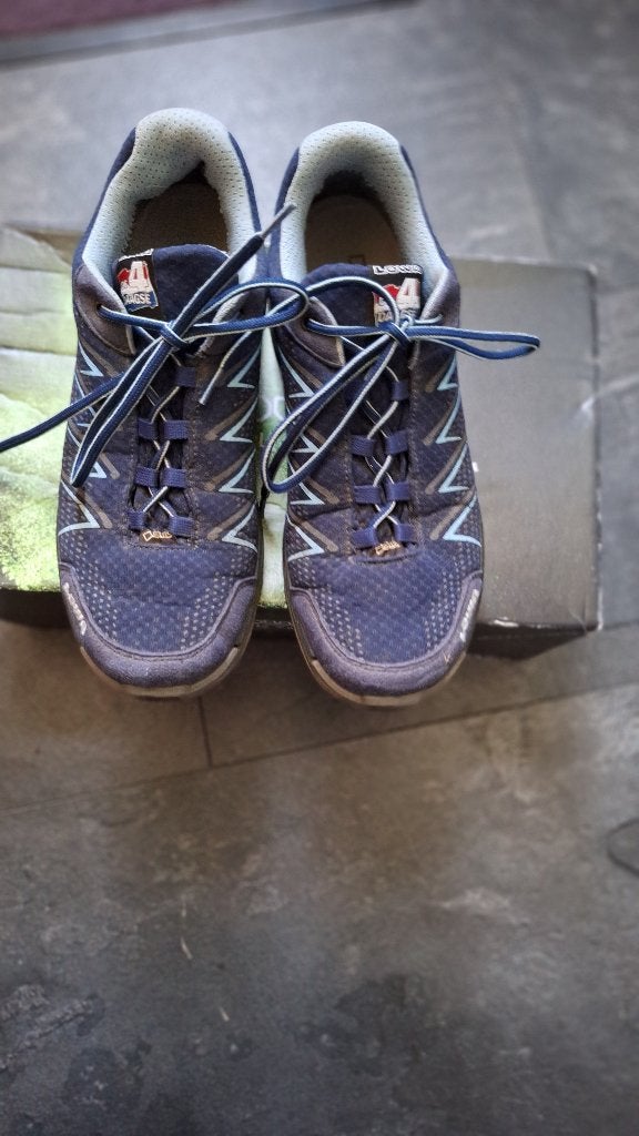 Lowa Ferrox GTX ws, Sport en Fitness, Bergsport en Wandelen, Ophalen of Verzenden, Gebruikt, Schoenen