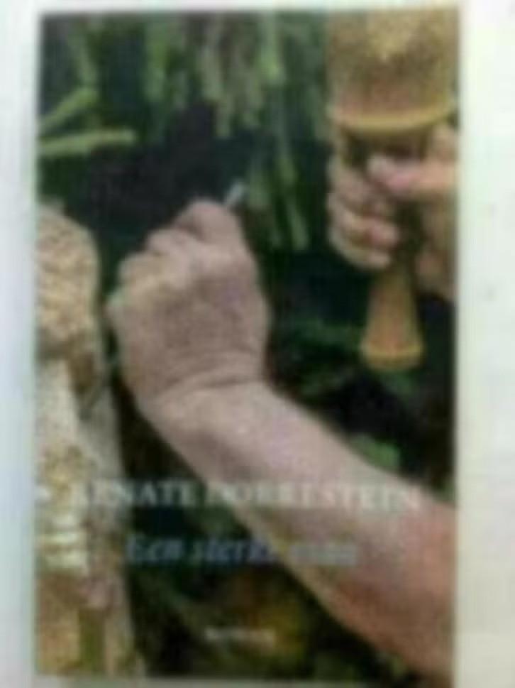 Renate Dorrestein - een sterke man, Ophalen of Verzenden, Zo goed als nieuw, Renate Dorrestein, Nederland