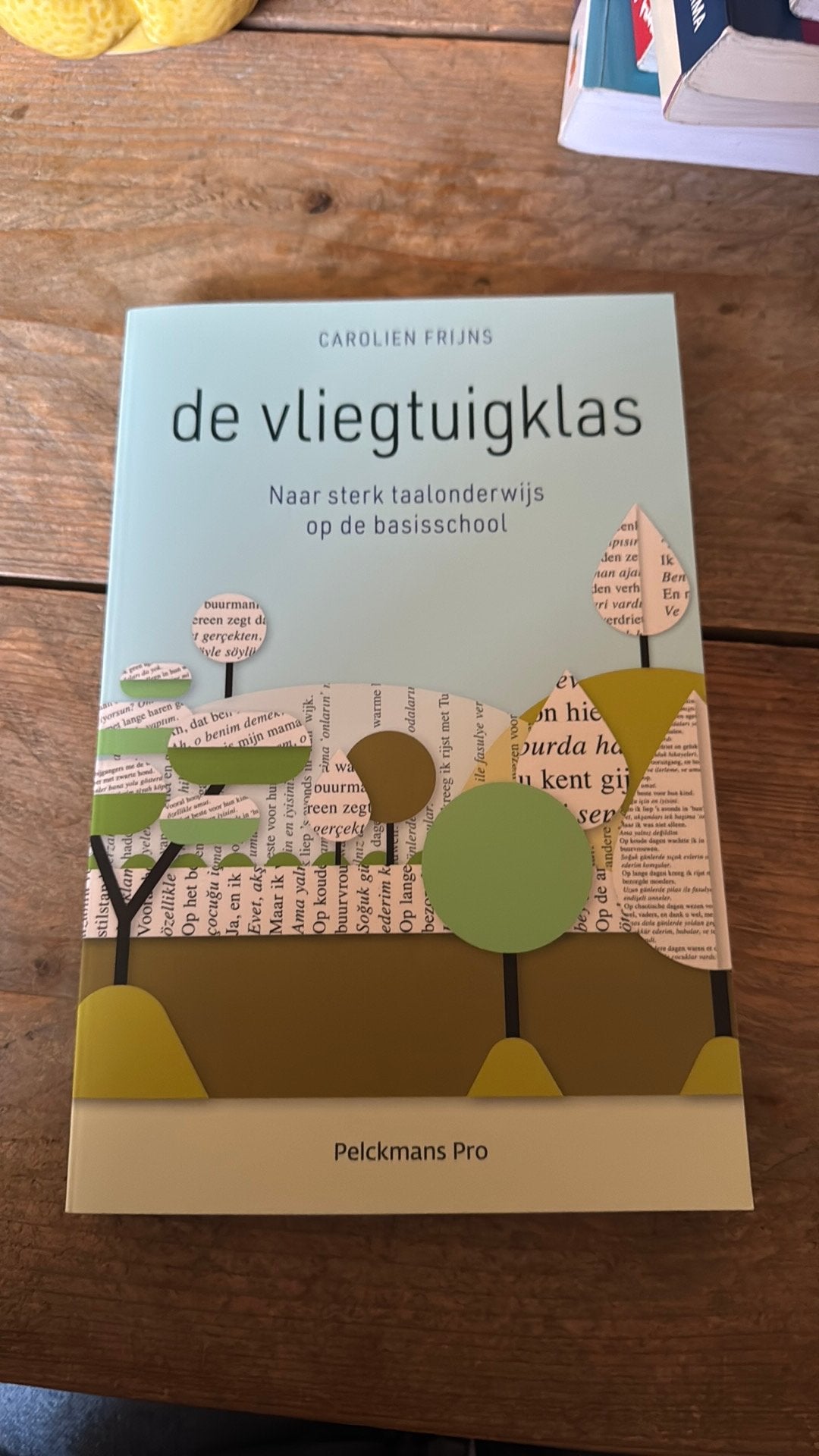 De vliegtuigklas, Ophalen of Verzenden, Zo goed als nieuw, Overige niveaus