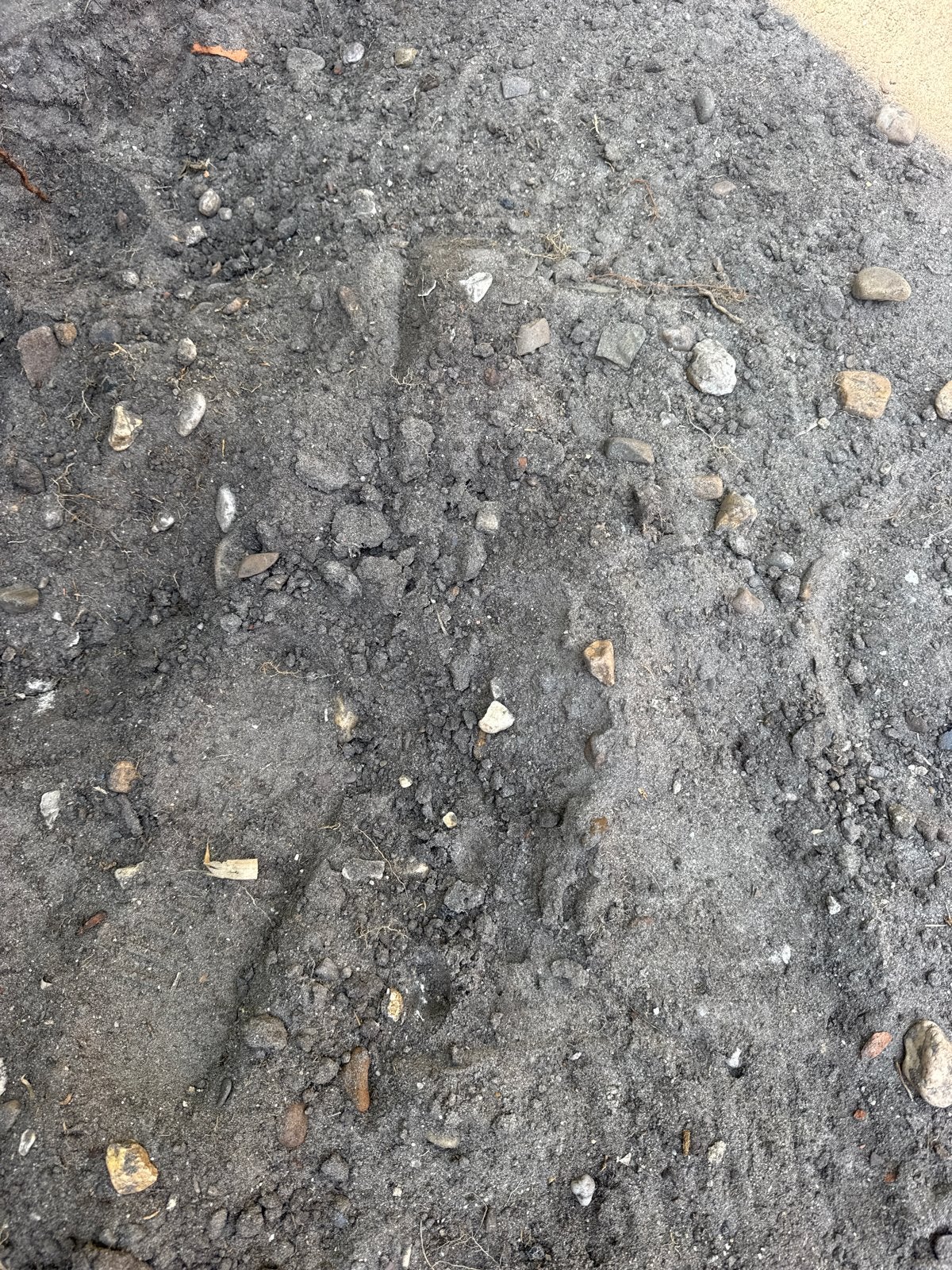 Gratis: Opvulgrond met stenen voor tuin en bakken, Tuin en Terras, Zand, Ophalen, Gebruikt, Ophoogzand