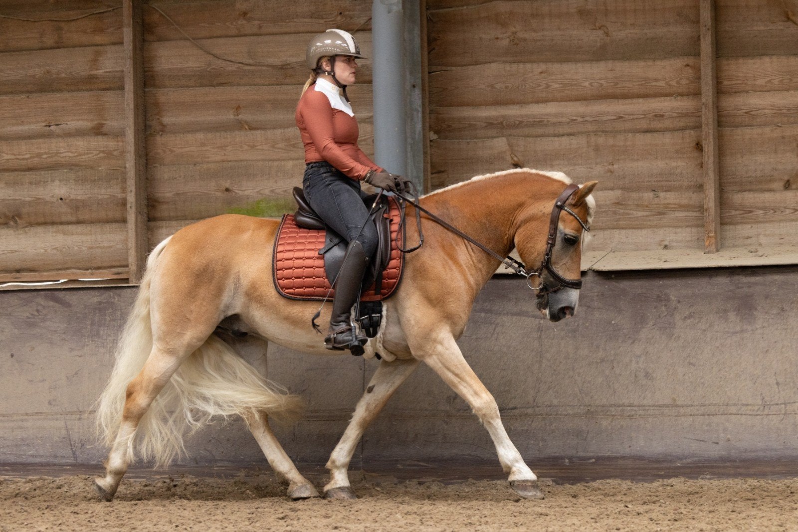 Allround Haflingerruin Z dressuur, Dieren en Toebehoren, Minder dan 160 cm, Ruin, Dressuurpaard, 11 jaar of ouder