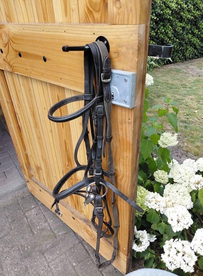 Hoofdstel grote pony of klein paard, Ophalen, Inclusief teugels, Pony, Zwart