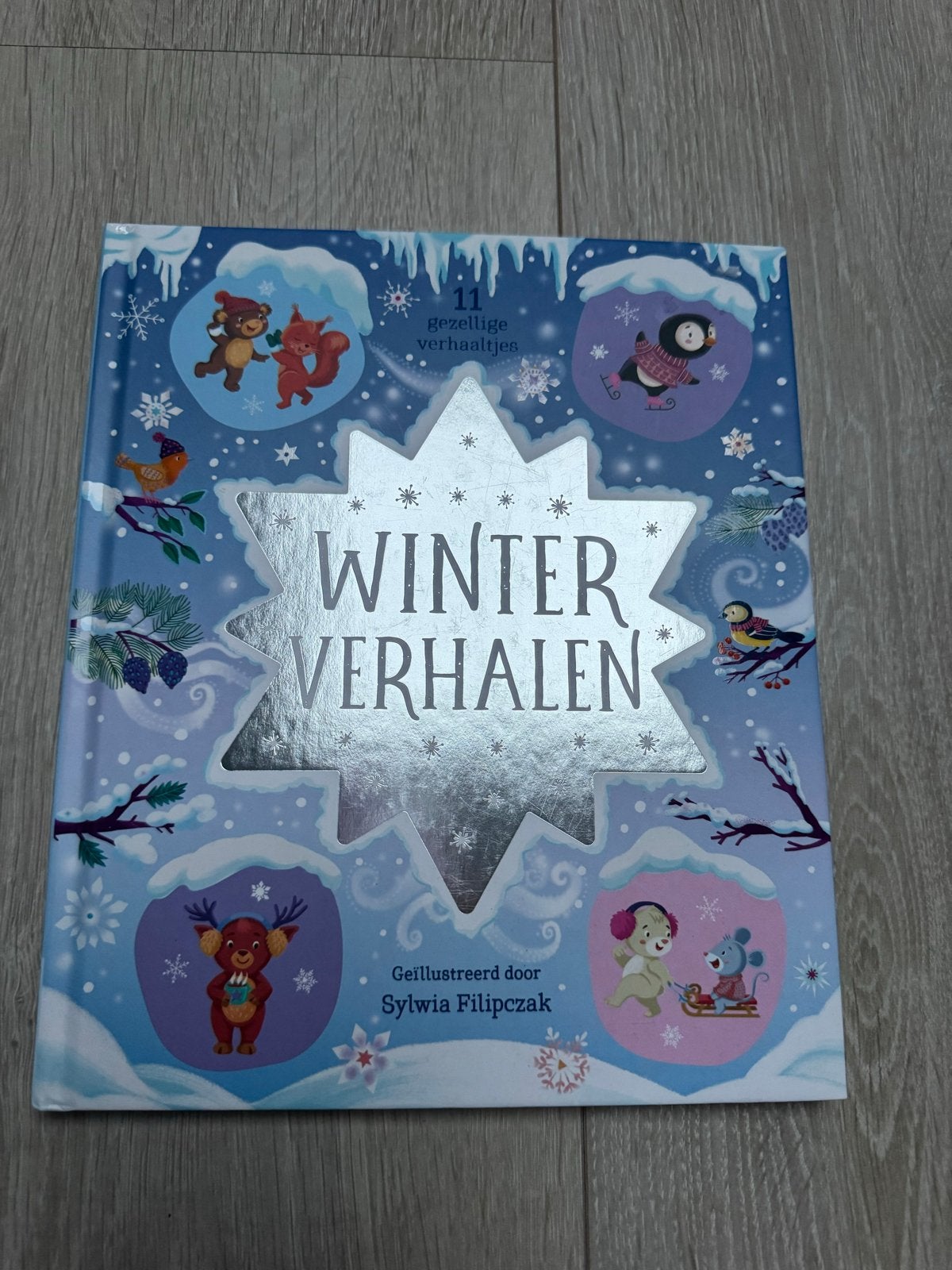 Winter Verhalen - 11 gezellige verhaaltjes, Ophalen of Verzenden, Zo goed als nieuw, Fictie algemeen