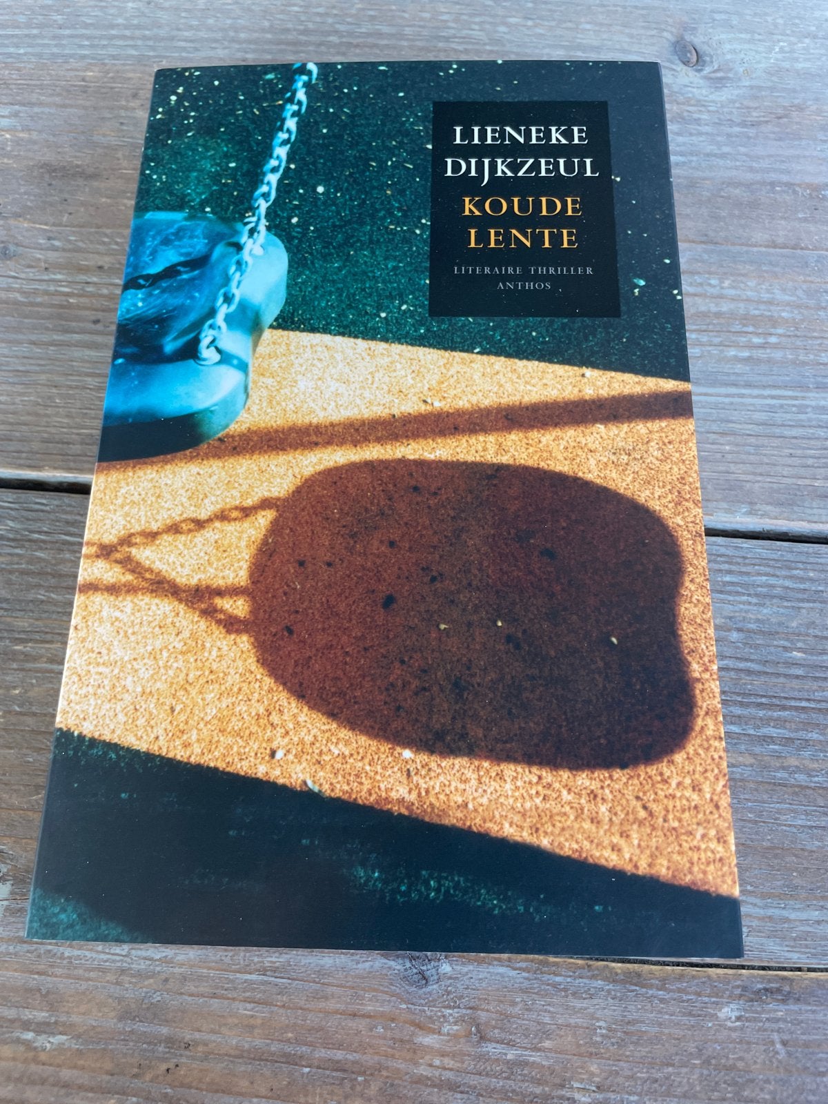 Lieneke Dijkzeul - Koude Lente (Literaire Thriller), Ophalen of Verzenden, Zo goed als nieuw, Nederland