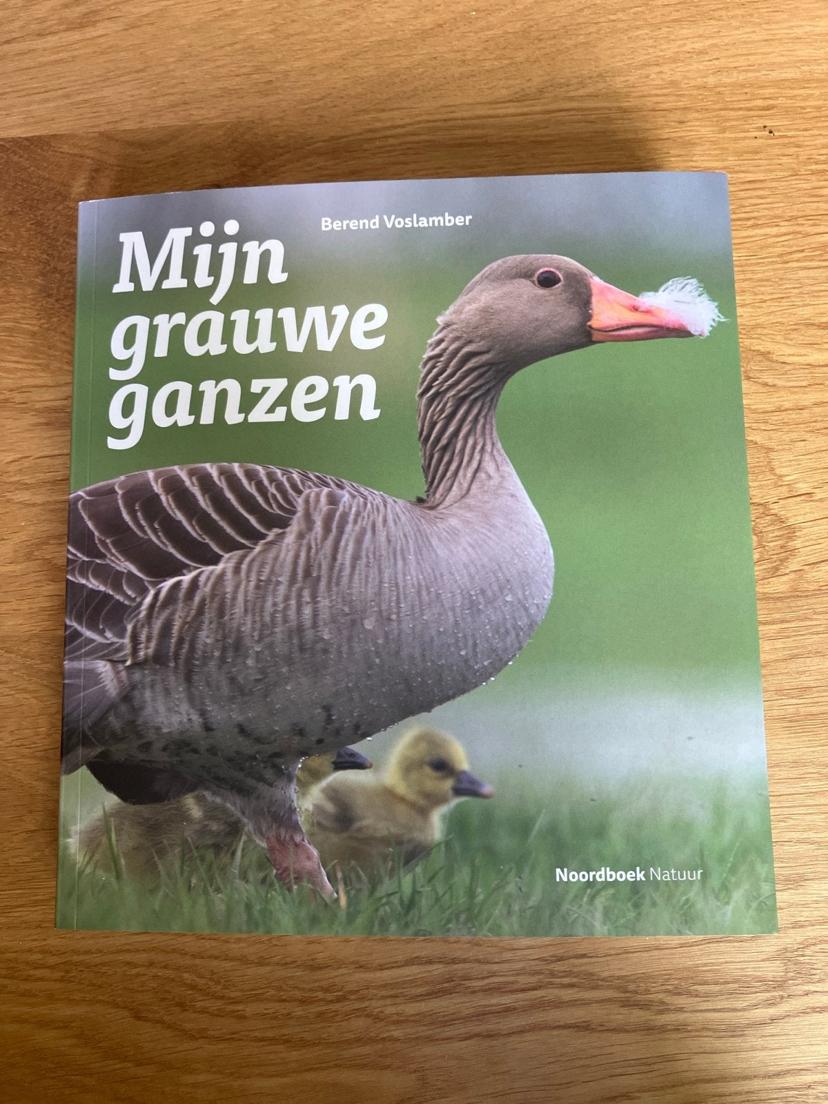 Mijn grauwe ganzen - Berend Voslamber, Ophalen, Nieuw, Vogels