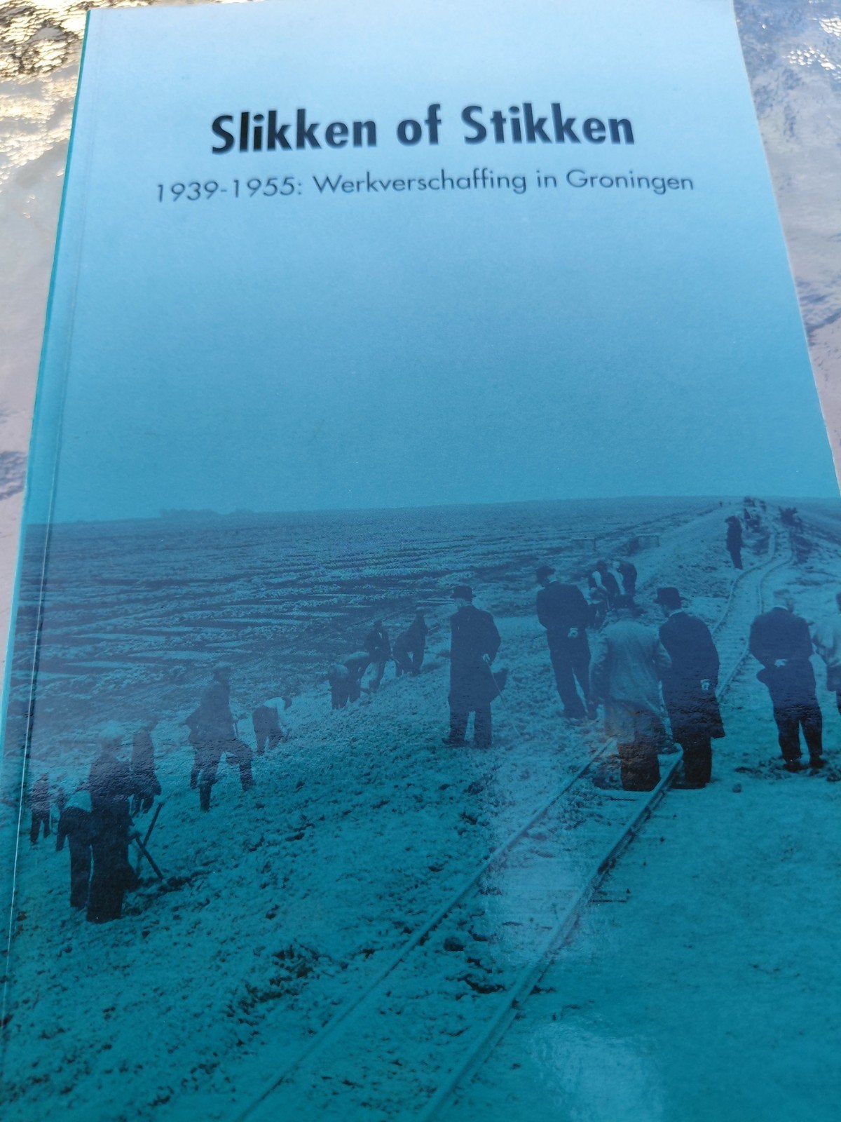 Slikken of Stikken: Werkverschaffing in Groningen 1939-1955, Ophalen of Verzenden, 20e eeuw of later, Gelezen, Onbekend