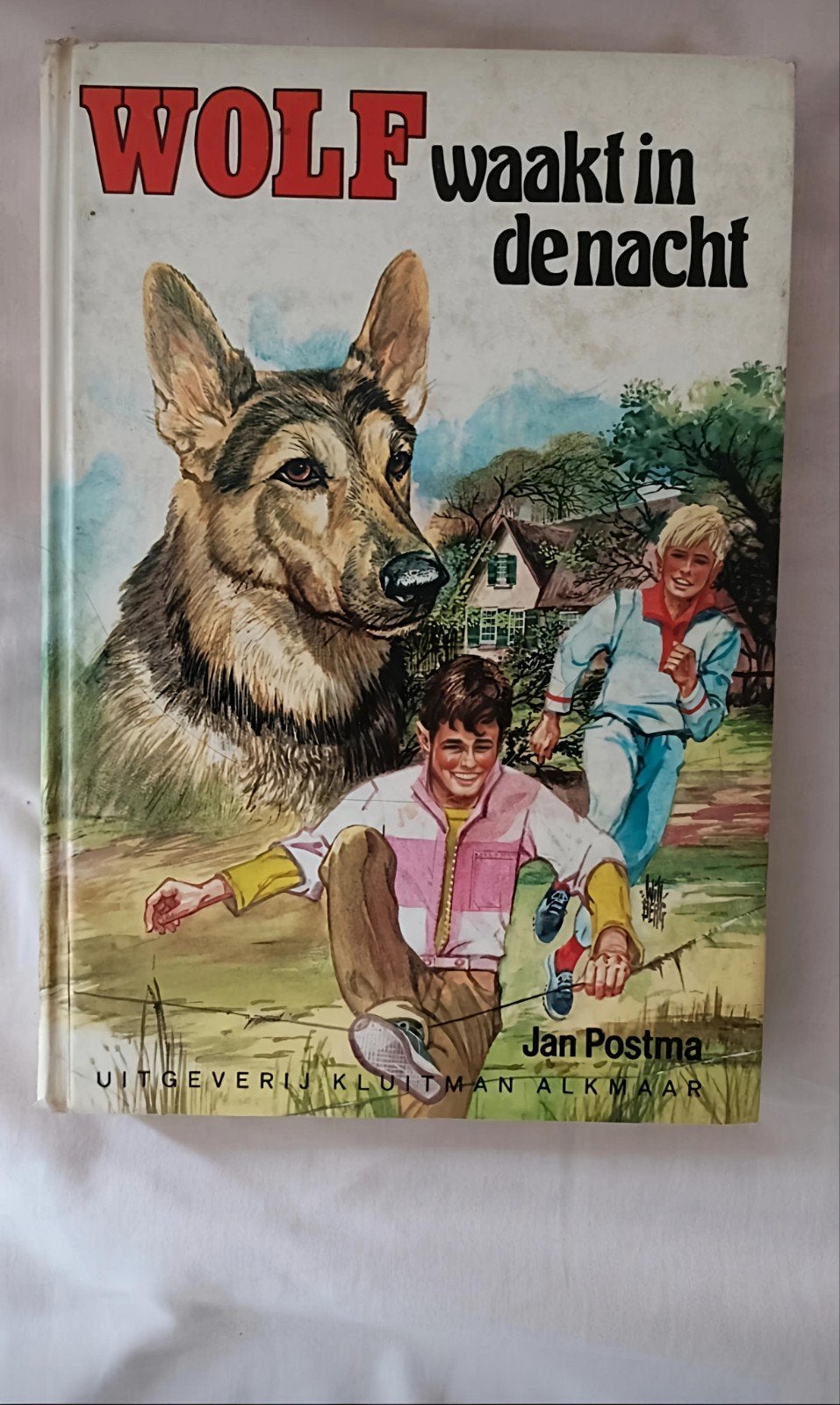 Boek Wolf waakt in de nacht, Boeken, Kinderboeken | Jeugd | 10 tot 12 jaar, Ophalen of Verzenden, Gelezen, Fictie