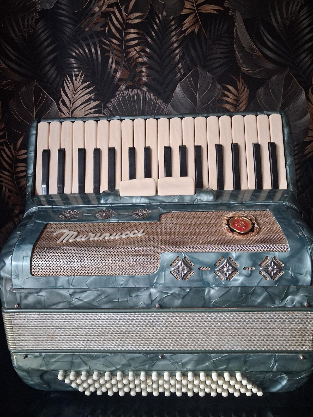 Mooie Marinucci Accordeon - 80 bassen, 2 registers, Ophalen, Gebruikt, 80-bas, Met koffer