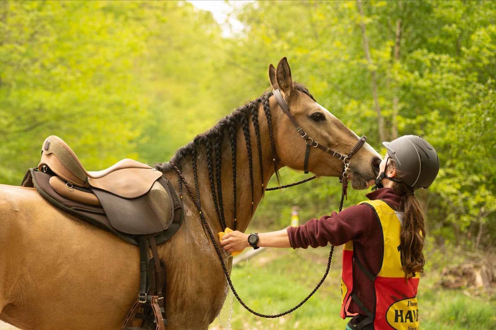 Ghost zadel Quevis (piccolo) en Wintec cair dresuur (16,5), Dieren en Toebehoren, Paarden en Pony's | Zadels, Ophalen, Zo goed als nieuw
