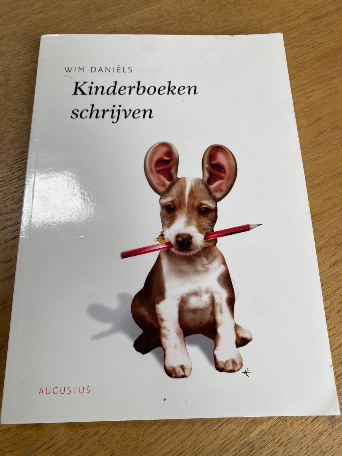 Wim Daniëls - Kinderboeken schrijven, Ophalen of Verzenden, Zo goed als nieuw, Wim Daniëls