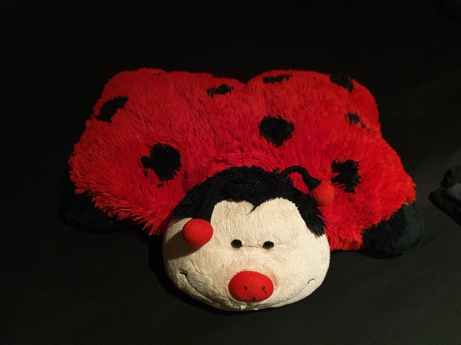 Pillow Pet knuffel en kussen in een - lieveheersbeestje, Ophalen of Verzenden, Gebruikt, Rood, Overige typen