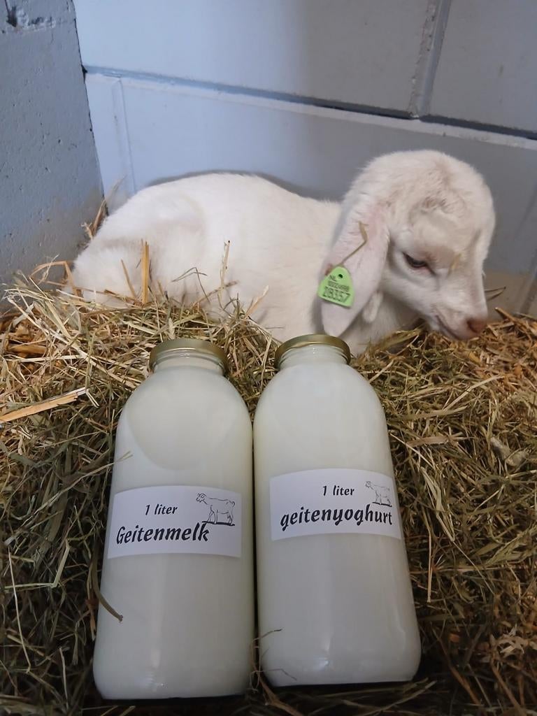 Dagelijkse verse geitenmelk- kwark-joghurt, Ophalen