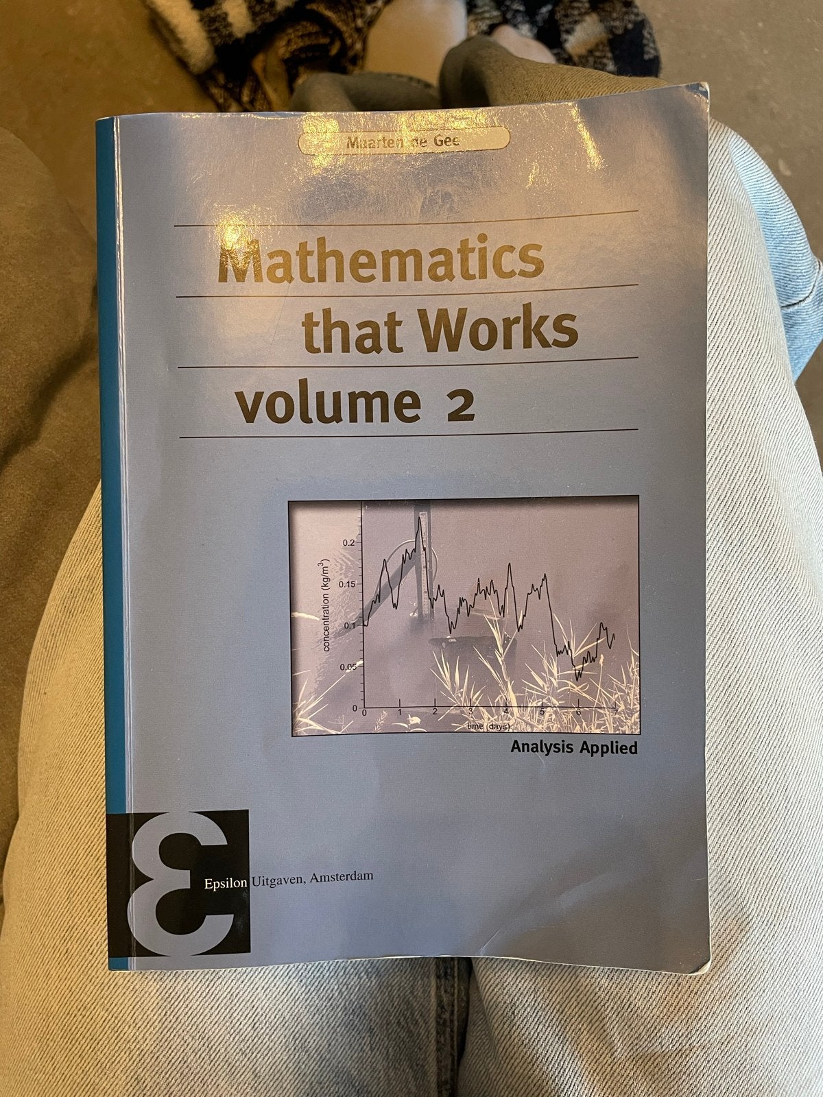 Mathematics that Works volume 2 - Maarten de Gee, Boeken, Ophalen of Verzenden, Beta, Zo goed als nieuw, WO