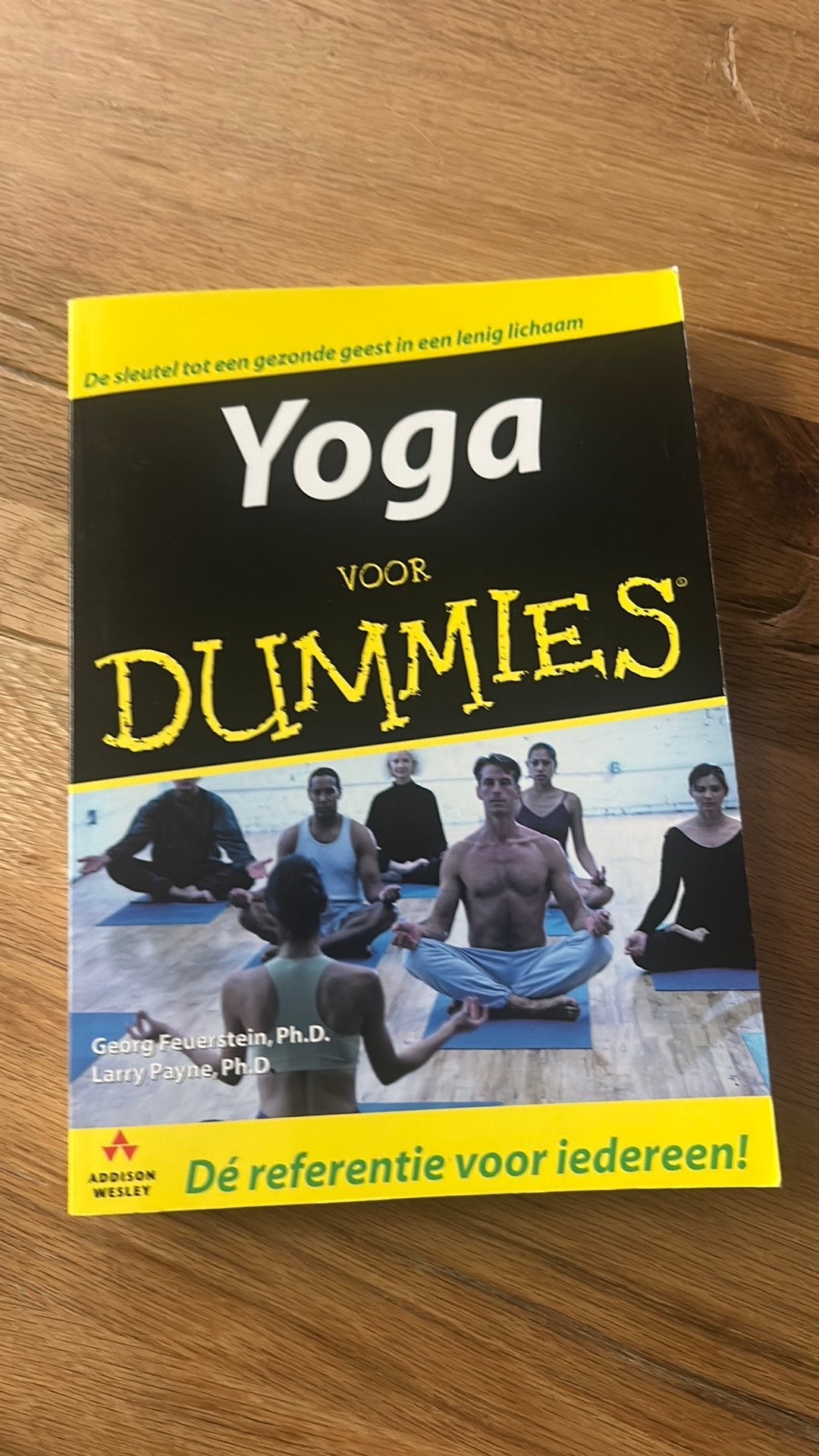 Georg Feuerstein - Yoga voor Dummies, Ophalen of Verzenden, Zo goed als nieuw, Georg Feuerstein; L. Payne