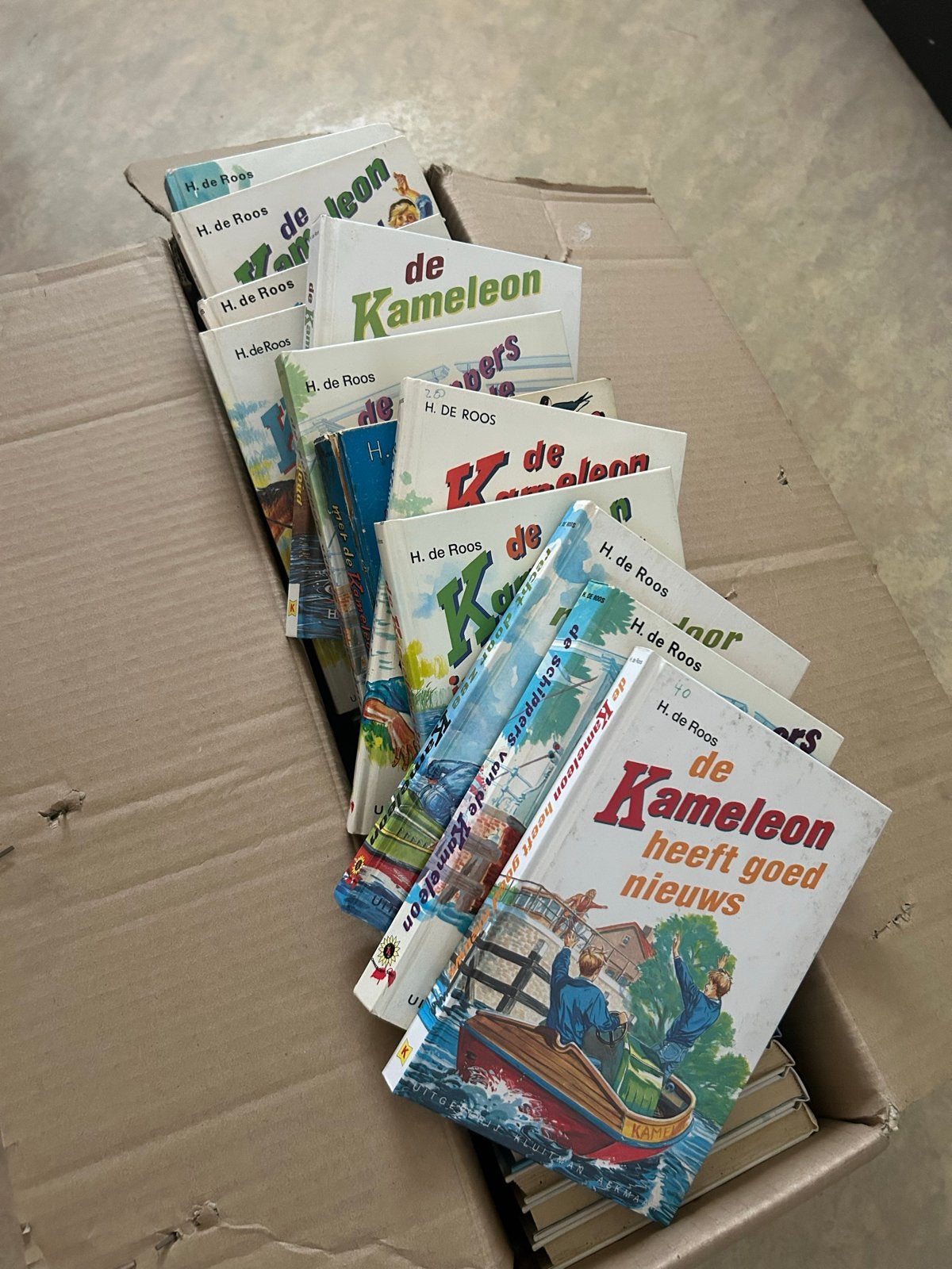 Grote verzameling Kameleon boeken - 47 stuks, Ophalen, Gelezen, Fictie algemeen