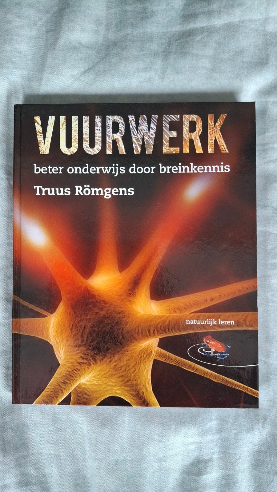 Vuurwerk: Beter onderwijs door breinkennis - Truus Römgens, Ophalen of Verzenden, Zo goed als nieuw, Truus Römgens