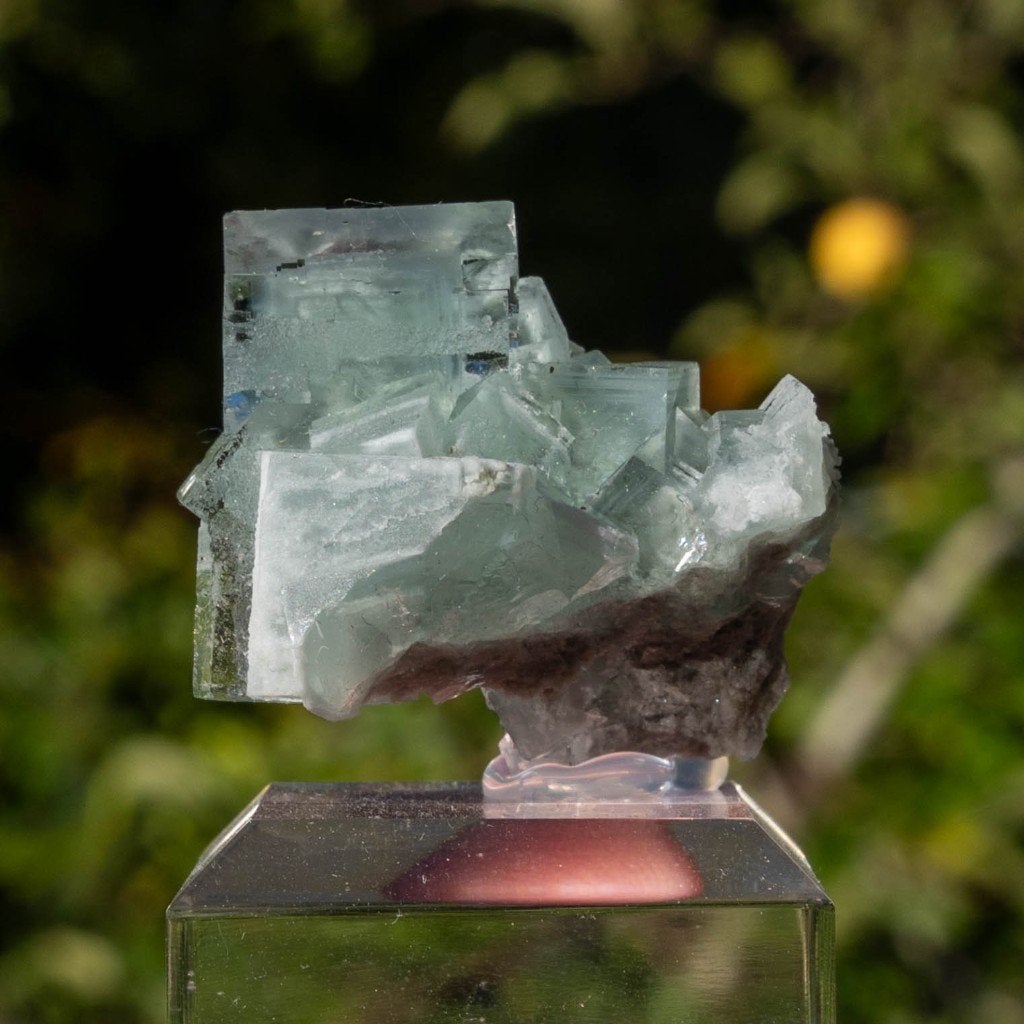 Fluoriet uit XiangHuaPu #4, Ophalen of Verzenden, Mineraal