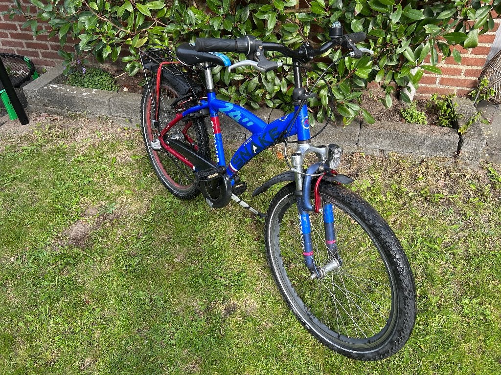 Batavus Snake 24Inch fiets, Ophalen, Terugtraprem, Batavus, Handrem