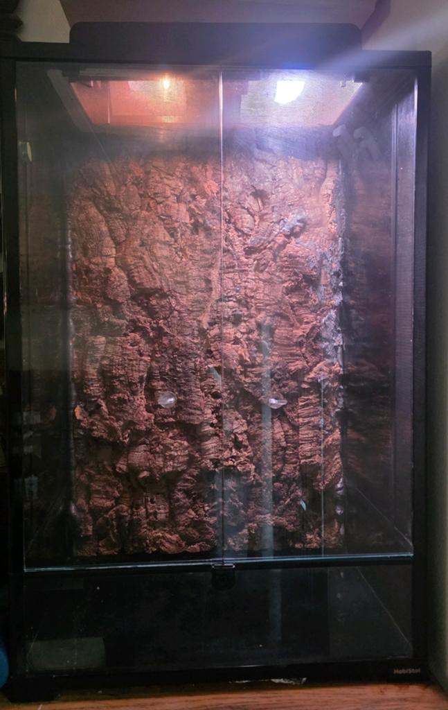 Terrarium 60x45x90, Ophalen, Zo goed als nieuw, Terrarium of Paludarium
