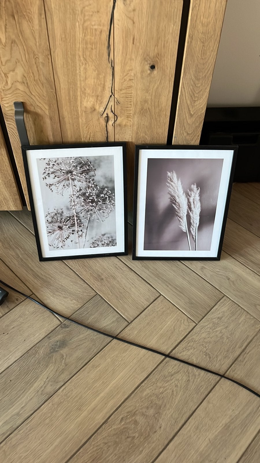 2 ingelijste posters natuur, Ophalen of Verzenden, Zo goed als nieuw