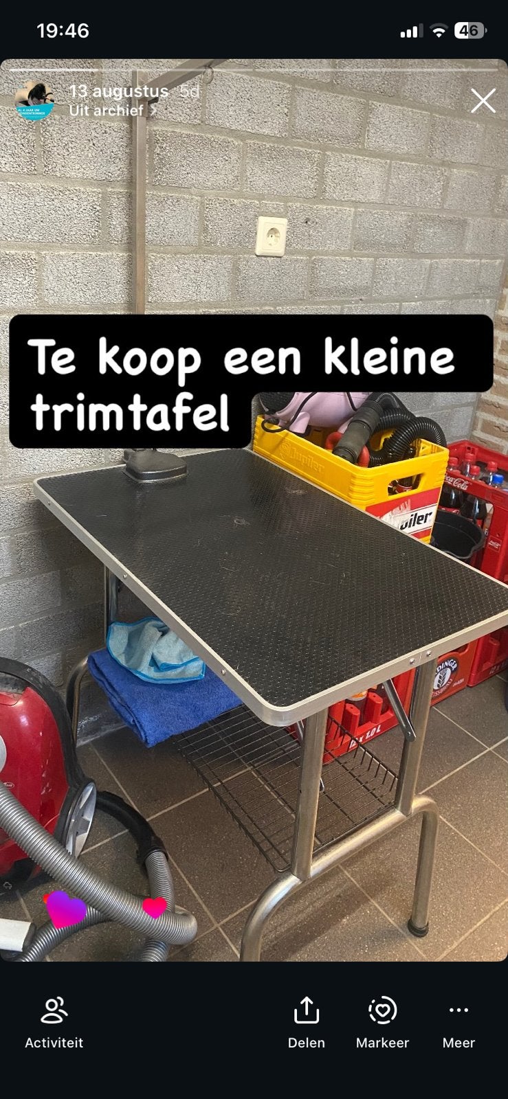 Kleine trimtafel te koop, Dieren en Toebehoren, Ophalen, Gebruikt, Trimtafel
