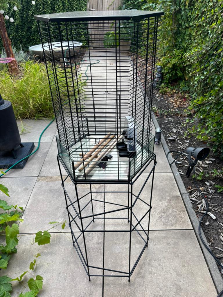 Vintage vogelkooi, Dieren en Toebehoren, Vogels | Hokken en Kooien, Ophalen, Zo goed als nieuw, Metaal, Vogelkooi