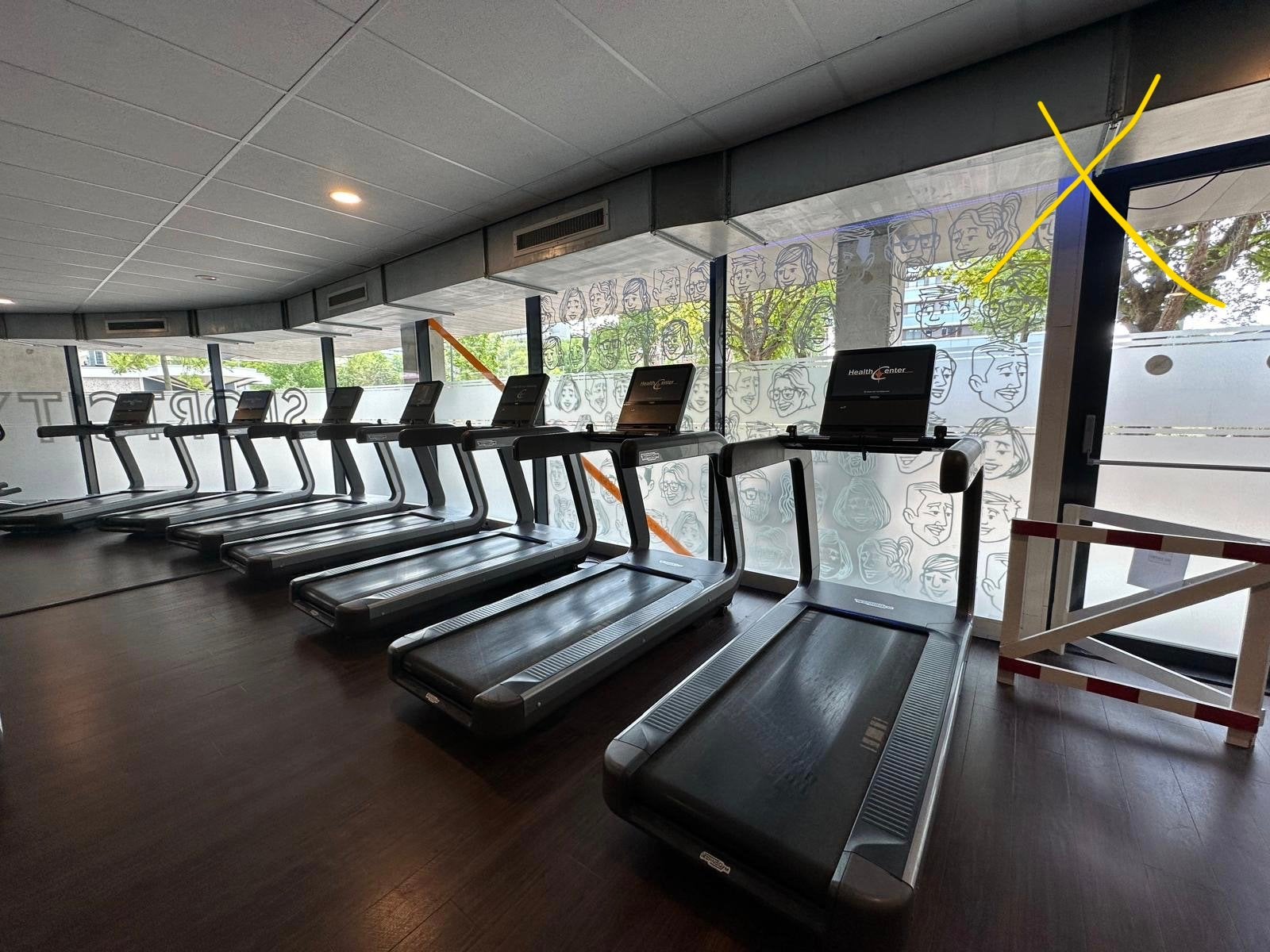 Technogym Fitnessapparatuur, Sport en Fitness, Ophalen, Armen, Zo goed als nieuw, Metaal
