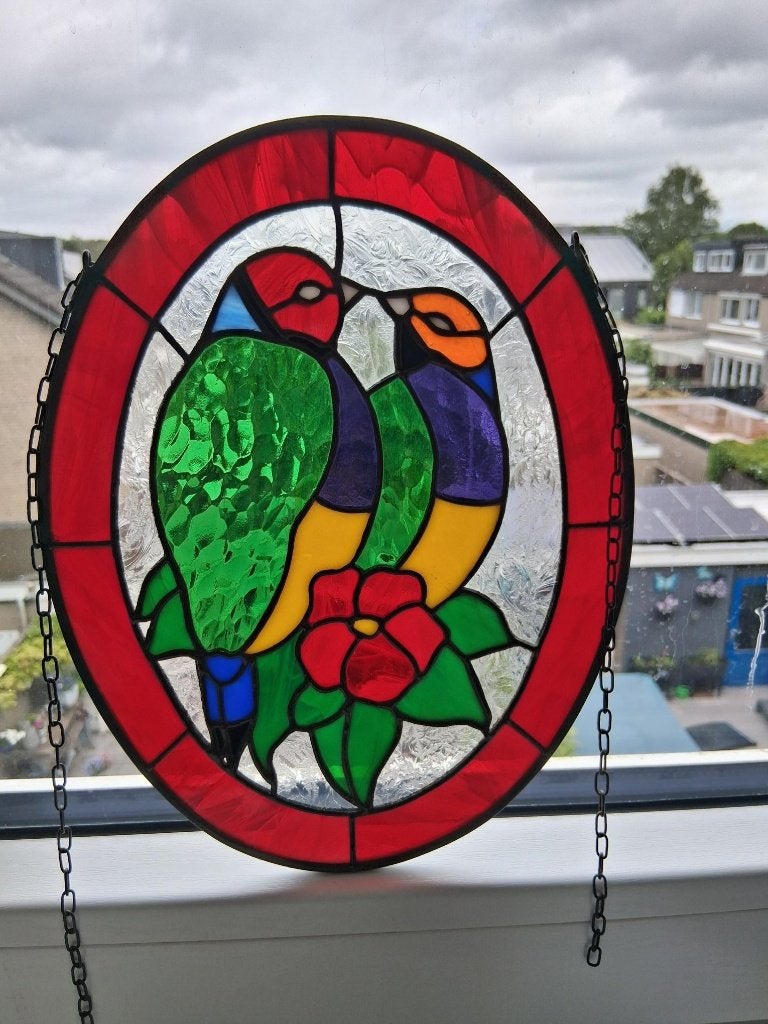 RAAMHANGER GOULDAMADINES, Ophalen