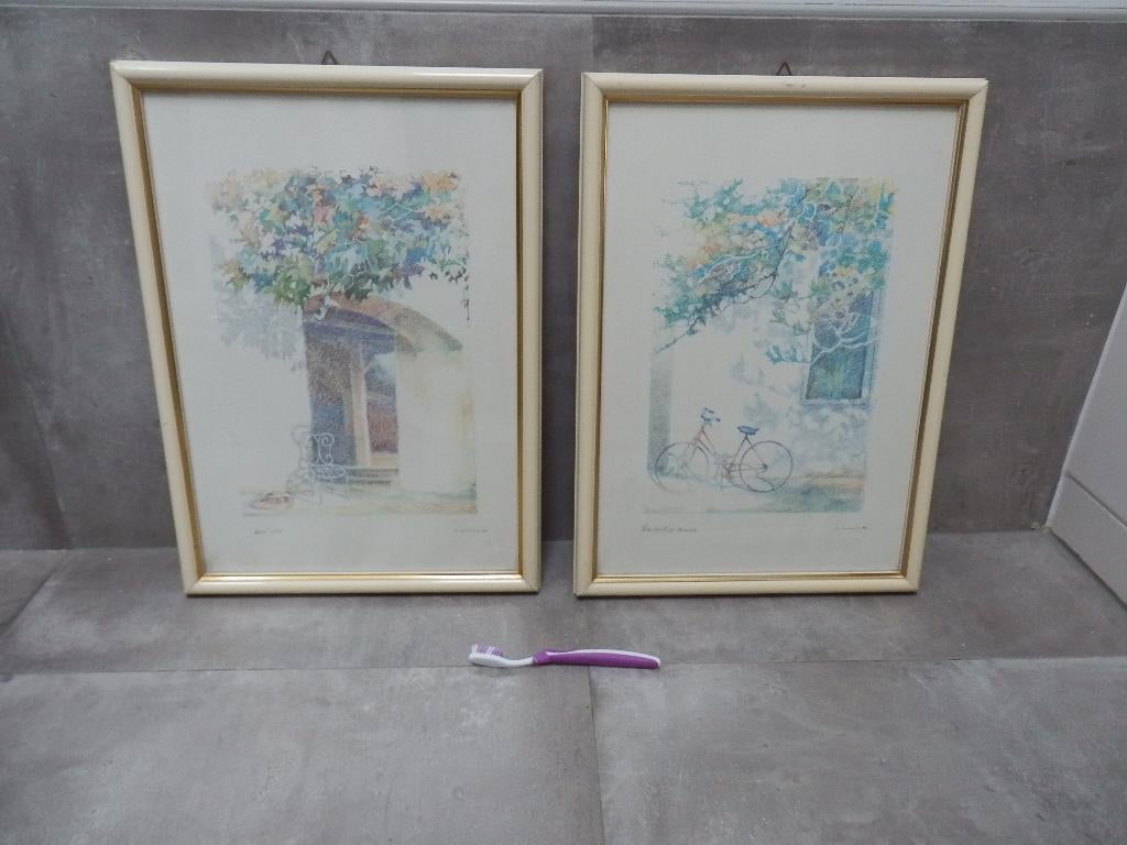 schilderijen landelijk, Huis en Inrichting, Minder dan 50 cm, Oorspronkelijke maker, Ophalen of Verzenden, Zo goed als nieuw