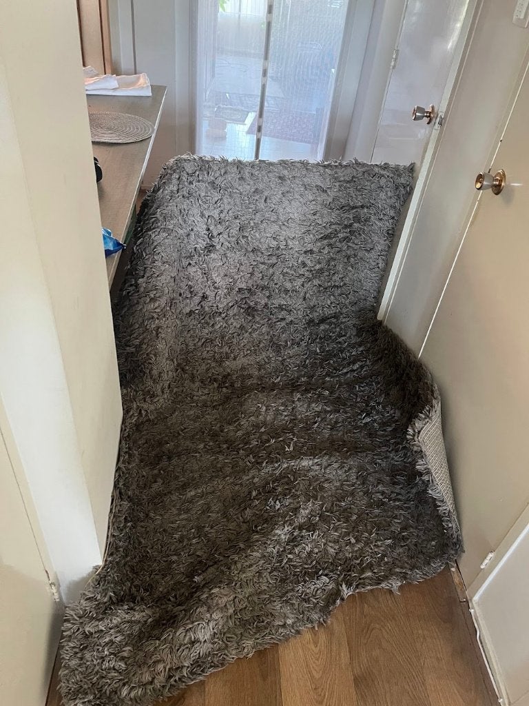 Groot hoogpolig tapijt / Large high pile rug, Huis en Inrichting, Stoffering | Tapijten en Kleden, Ophalen, Gebruikt, 150 tot 200 cm