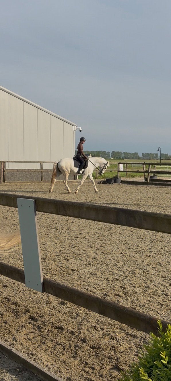 Verzorg pony/paard gezocht!, Ophalen of Verzenden, Zo goed als nieuw