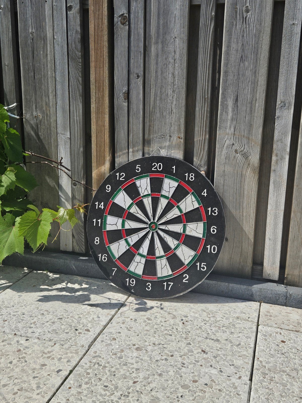 Hangende Dart - Gelijk klaar om te spelen!, Ophalen of Verzenden, Zo goed als nieuw, Dartbord