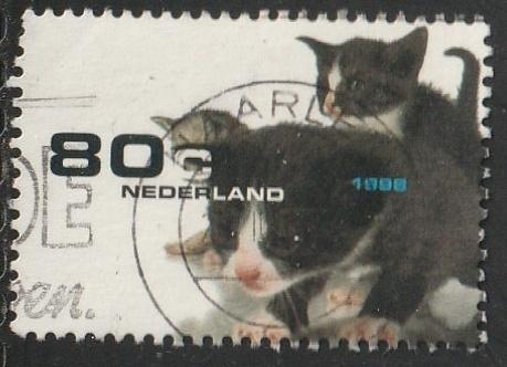 Nederland 1998 1779 Poezen, Gest Haarlem, Ophalen of Verzenden, Na 1940, Gestempeld
