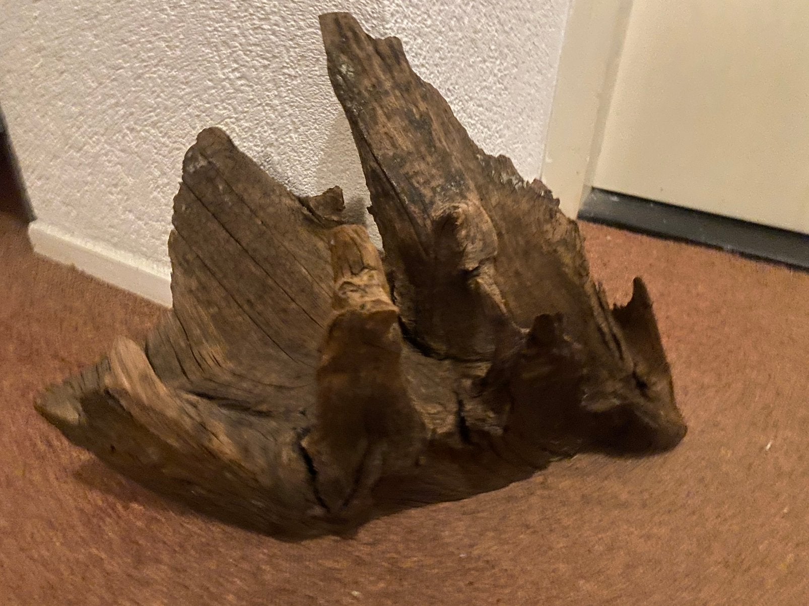 Kienhout voor aquarium groot stuk, Dieren en Toebehoren, Ophalen, Plant(en), Steen of Hout