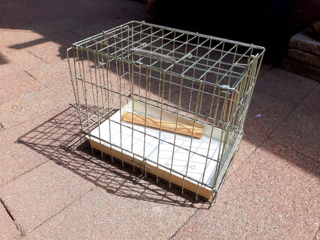 Transportkooitje voor vogels - opvouwbaar, Ophalen of Verzenden, Gebruikt, Metaal, Vogelkooi