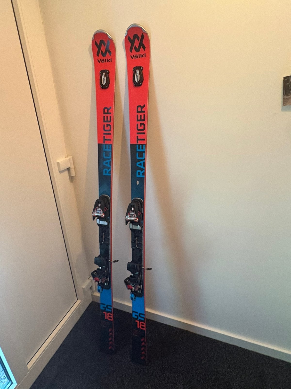 Volkl Racetiger ski's 175 cm GS ski, Overige merken, 160 tot 180 cm, Gebruikt, Ophalen of Verzenden